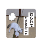 こゆちのスタンプ（個別スタンプ：22）