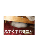こゆちのスタンプ（個別スタンプ：24）