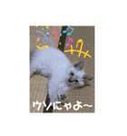 こゆちのスタンプ（個別スタンプ：26）