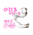 こゆちのスタンプ（個別スタンプ：27）