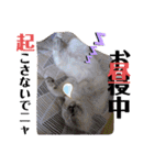 こゆちのスタンプ（個別スタンプ：28）
