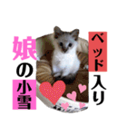 こゆちのスタンプ（個別スタンプ：30）