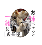こゆちのスタンプ（個別スタンプ：32）