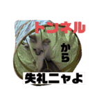こゆちのスタンプ（個別スタンプ：37）