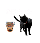 おネコ 3（個別スタンプ：18）