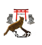 おネコ 3（個別スタンプ：27）