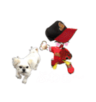 おネコ 3（個別スタンプ：31）