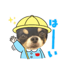 プリティーチワワのカイちん2（個別スタンプ：15）