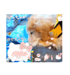 ダックスフンドびーちゃん【16】（個別スタンプ：2）
