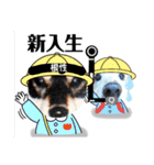 ダックスフンドびーちゃん【16】（個別スタンプ：21）