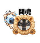ダックスフンドびーちゃん【16】（個別スタンプ：22）