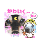 ダックスフンドびーちゃん【16】（個別スタンプ：23）