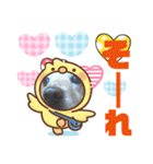 ダックスフンドびーちゃん【16】（個別スタンプ：37）