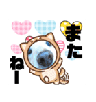 ダックスフンドびーちゃん【16】（個別スタンプ：38）