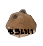キンクマハムスターたんぽぽの日常2（個別スタンプ：5）