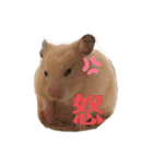キンクマハムスターたんぽぽの日常2（個別スタンプ：7）