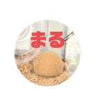 キンクマハムスターたんぽぽの日常2（個別スタンプ：9）