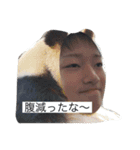 糸島市地元メンツの日常笑（個別スタンプ：19）