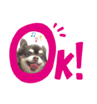 Lucy②（個別スタンプ：1）