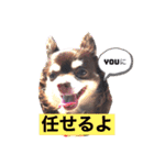 Lucy②（個別スタンプ：9）