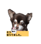 Lucy②（個別スタンプ：17）