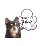Lucy②（個別スタンプ：18）