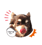 Lucy②（個別スタンプ：23）