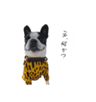 おべべあろは（個別スタンプ：1）