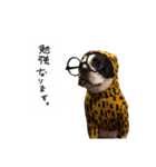 おべべあろは（個別スタンプ：4）
