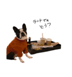 おべべあろは（個別スタンプ：11）
