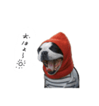 おべべあろは（個別スタンプ：13）