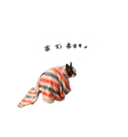 おべべあろは（個別スタンプ：15）