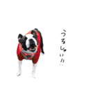 おべべあろは（個別スタンプ：16）