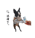 おべべあろは（個別スタンプ：17）