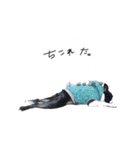 おべべあろは（個別スタンプ：18）