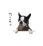 おべべあろは（個別スタンプ：19）
