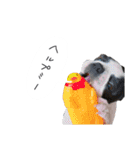 おべべあろは（個別スタンプ：21）