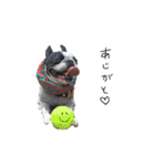 おべべあろは（個別スタンプ：22）
