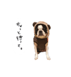 おべべあろは（個別スタンプ：23）