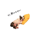 おべべあろは（個別スタンプ：24）
