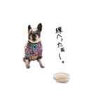 おべべあろは（個別スタンプ：25）