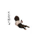 おべべあろは（個別スタンプ：26）