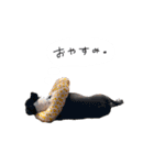 おべべあろは（個別スタンプ：30）