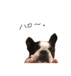 おべべあろは（個別スタンプ：31）