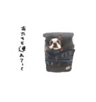 おべべあろは（個別スタンプ：34）