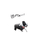 おべべあろは（個別スタンプ：35）
