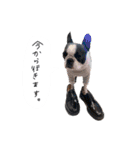 おべべあろは（個別スタンプ：37）