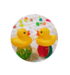 カラフルボールスタンプ    アヒル！（個別スタンプ：1）