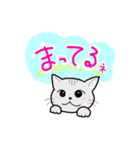 しま猫しーま（個別スタンプ：2）