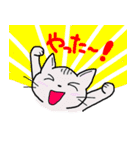 しま猫しーま（個別スタンプ：12）